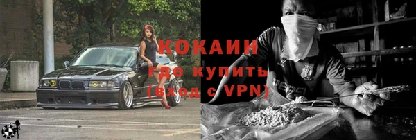 индика Арсеньев
