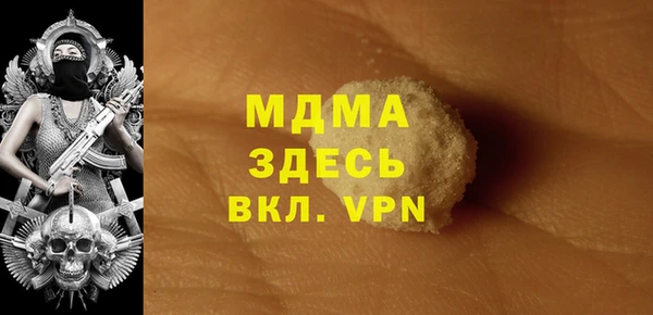 индика Арсеньев