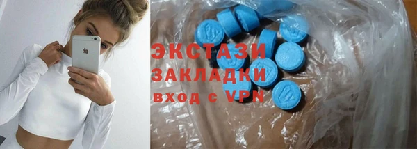 индика Арсеньев
