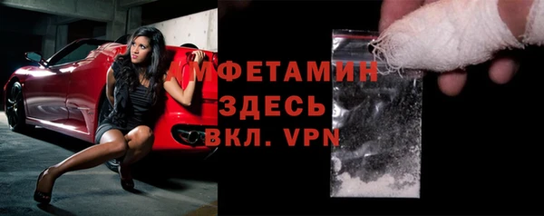 индика Арсеньев