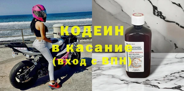 индика Арсеньев