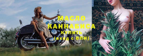 индика Арсеньев