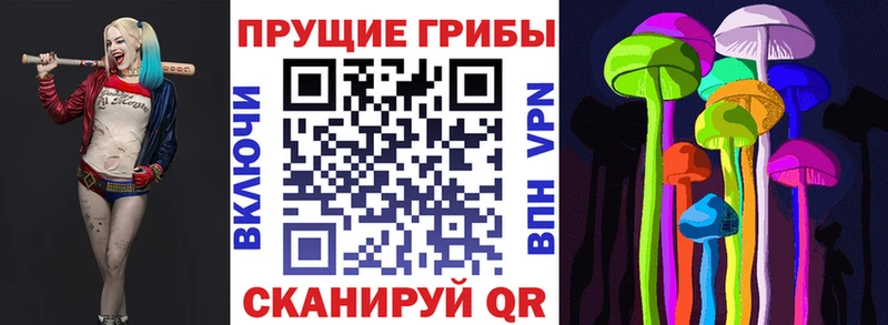 kraken ссылки  Покачи  сайты даркнета состав  Галлюциногенные грибы Magic Shrooms 